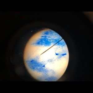 Meet your Posher, Amars